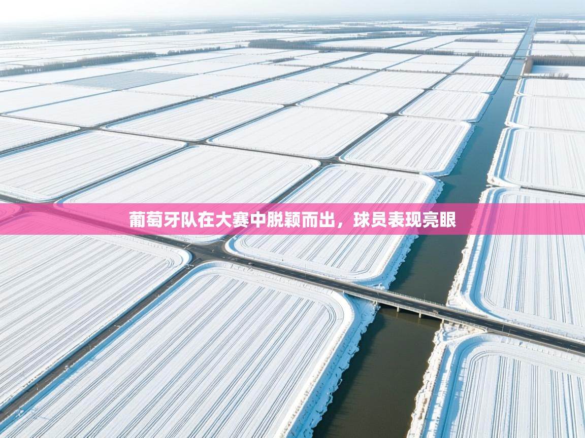 葡萄牙队在大赛中脱颖而出，球员表现亮眼  第1张