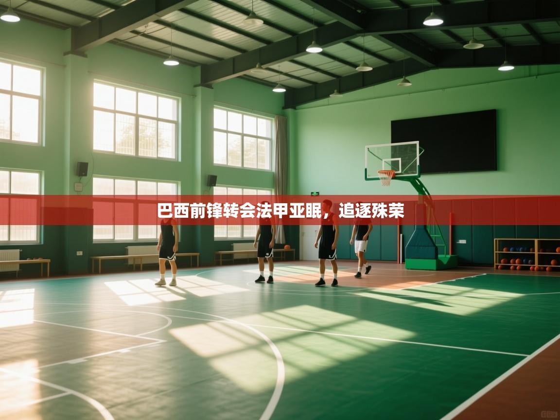 巴西前锋转会法甲亚眠，追逐殊荣  第1张